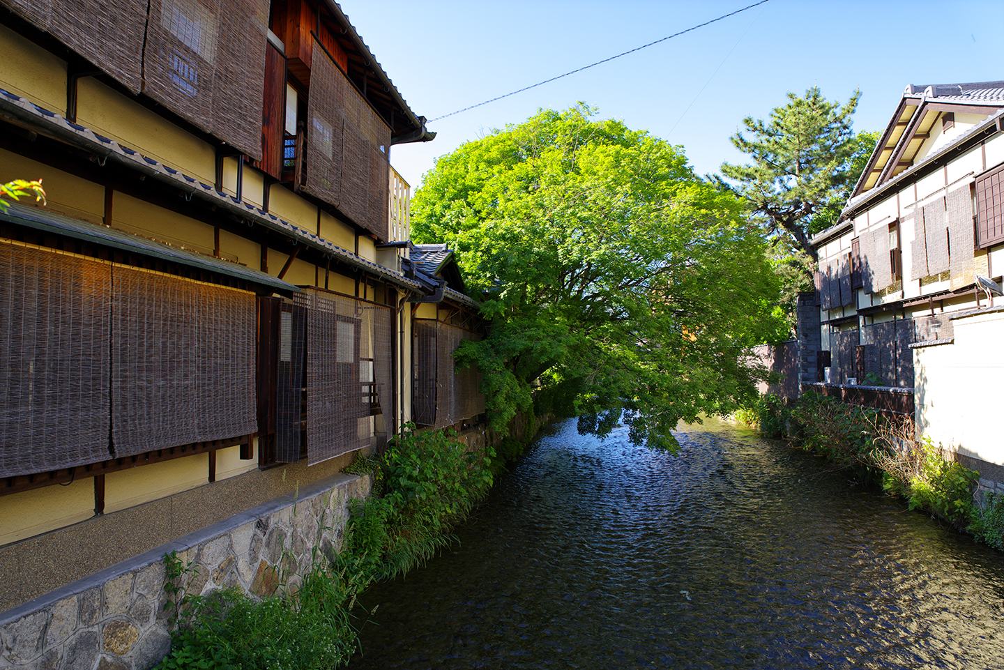 京都 白川